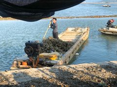 -蚝乡农庄(铁涌赤岸店)