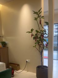 -重庆宝丽医疗美容