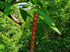 -青龙山国家森林公园