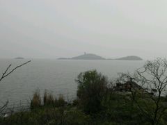 -上海市保健医疗中心(华东疗养院)