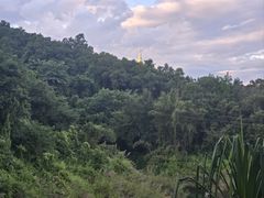 -孔雀湖生态旅游区