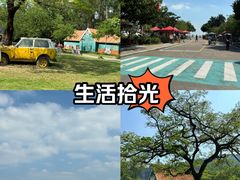 -南沙蒲洲花园