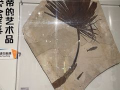 -正佳自然科学博物馆