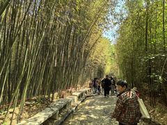 -竹泉村旅游度假区
