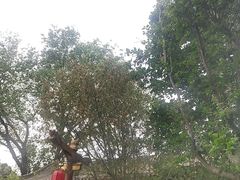 -有喜胶东小馆(太申祥和店)