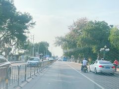 -大湾区中央湿地公园-十九涌