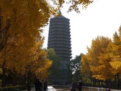 -玲珑塔公园