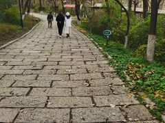 -高尔山公园