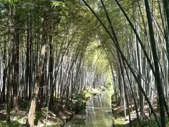 -同里国家湿地公园