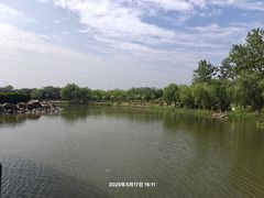 -上海鲜花港
