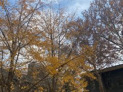 -腾爱熊猫咖啡生活馆(老东门店)