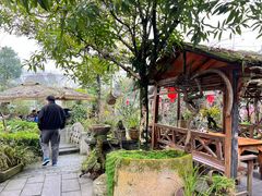 -青城甲(青城山店)