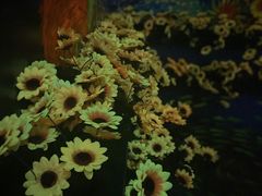 -梵高星空艺术馆(北京旗舰店)