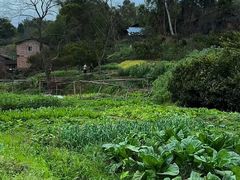 -重庆云阳龙缸景区