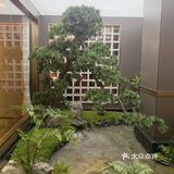 可以吃到撑的胡同小馆