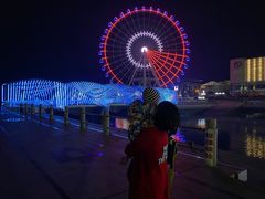 -琴岛之星摩天轮