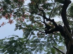 -荔秀服饰文化街区