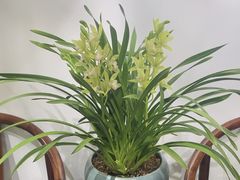 -食悦江南·淮扬菜·烤鸭(亚运村·惠新店)