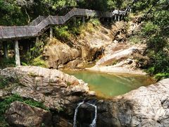 -广州白江湖森林公园