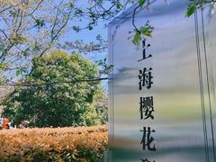 -顾村公园