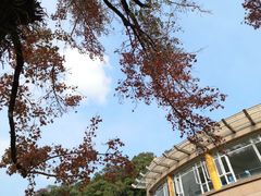 -广东温泉宾馆