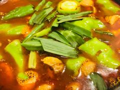 湘味肥肠火锅-湘肠香火锅店(团结湖店)