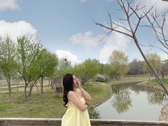 -安德鲁户外烧烤帐篷营地(马泉营店)