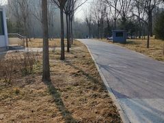 -南长河公园