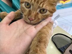 -天宠宠物医院24小时·急重症诊疗中心·全科·腔镜特色(和平分院)