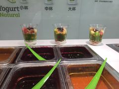 -Salud撒露欧洲冻酸奶(北苑上品店)