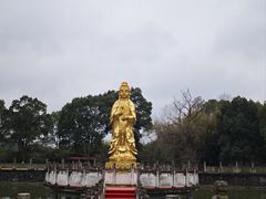 -报恩禅寺
