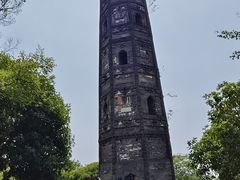 -上海佘山国家森林公园天马山园