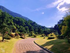 -深圳仙湖植物园