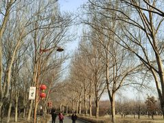 -长春公园(普阳街道)