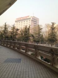 -北京妇产医院(东院)