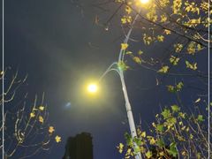-% Arabica阿拉比卡咖啡(武汉天地店)