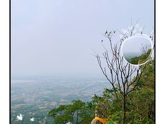 -挂旗柴锅鸡(蚌山区嘉年华店)
