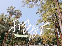 -中山公园