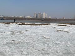 -长白岛森林公园