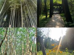-同里国家湿地公园