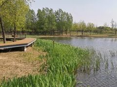 -东郊湿地公园