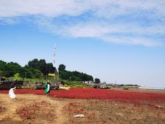 -辽宁团山国家级海洋公园