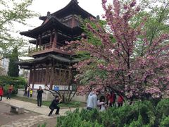 -西安青龙寺遗址景区