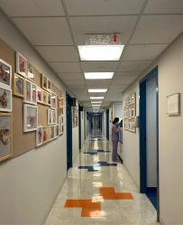 -杭州贝瑞斯美华妇儿医院·早孕·产检·儿科