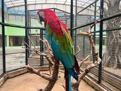 -北京野生动物园