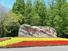 -东平国家森林公园