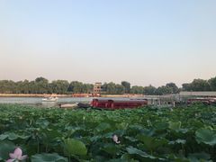 -小王府(什刹海店)