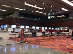 -樟宜机场免税店