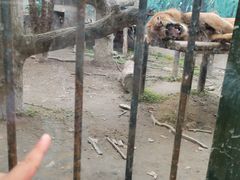 -南湖梦幻岛