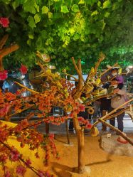 -酷嗒动物文化乐园(cutezoo西溪乐天城店)